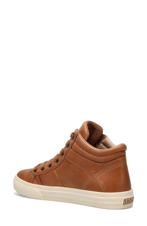 Taos Winner High Top Sneaker In Multi