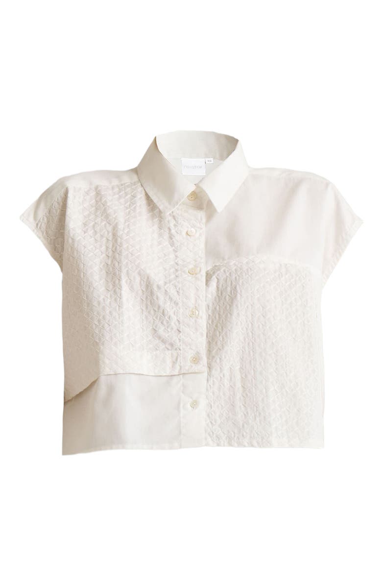 Reistor Embroidered Panel Crop Top, Alternate, color, Coconut White