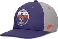 Nike Men's Nike Purple/Gray Clemson Tigers Prep Pro Performance Snapback Hat