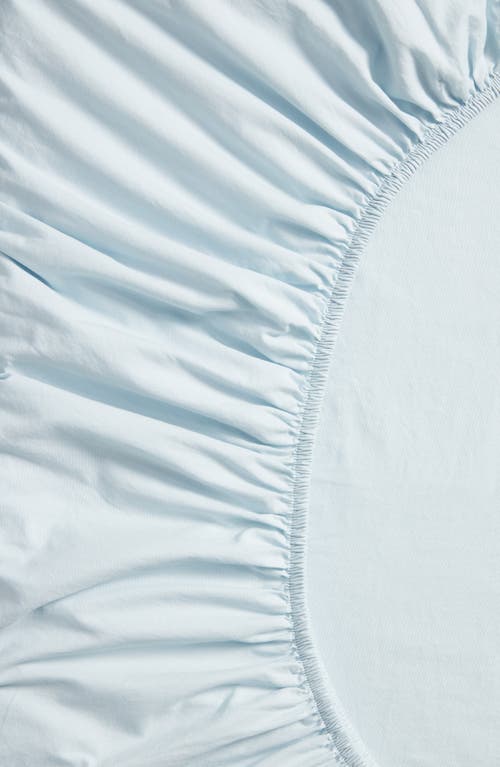 Nordstrom Organic Cotton Percale Fitted Sheet In Blue