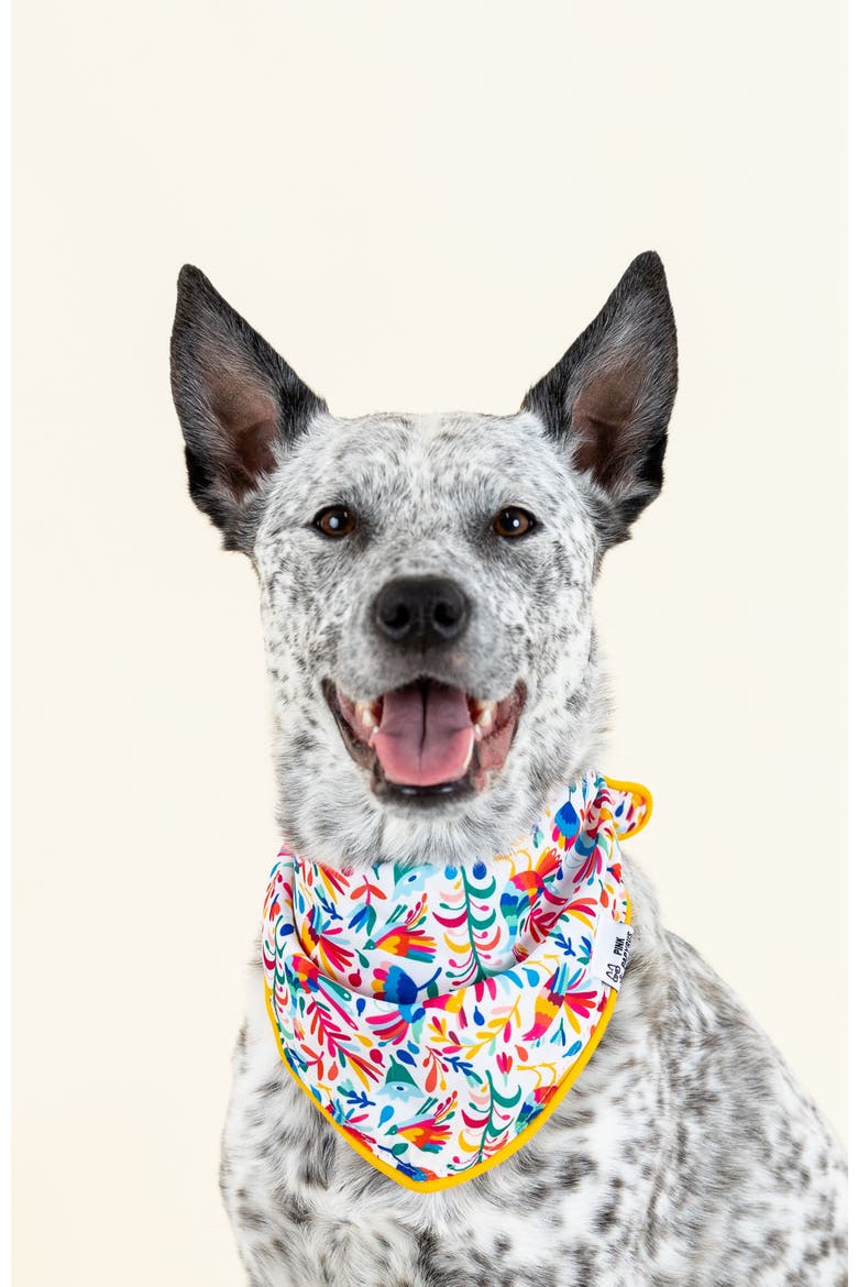 Yesenia Pet Bandana, Alternate, color, Yesenia