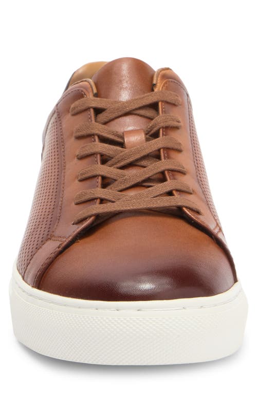 Nordstrom Rack Jasper Dress Sneaker