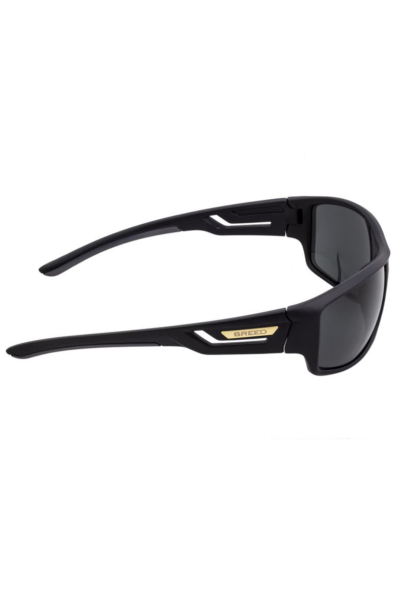 Aquarius Polarized Sunglasses, Alternate, color, Black/Black