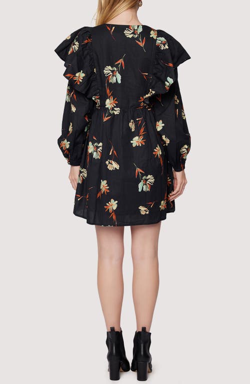 Lost + Wander Field Of Dreams Ruffle Long Sleeve Minidress