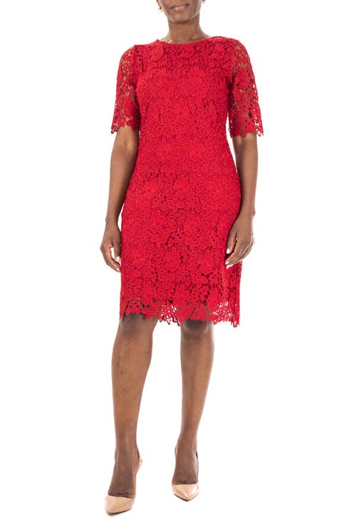 Jewel Neck Lace Dress