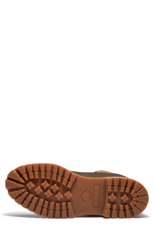 Timberland Premium 6-inch Waterproof Boot In Brown