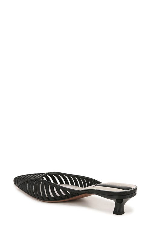 Franco Sarto Women's Marlina Fisherman Pointed Toe Kitten Heel Mules In Black
