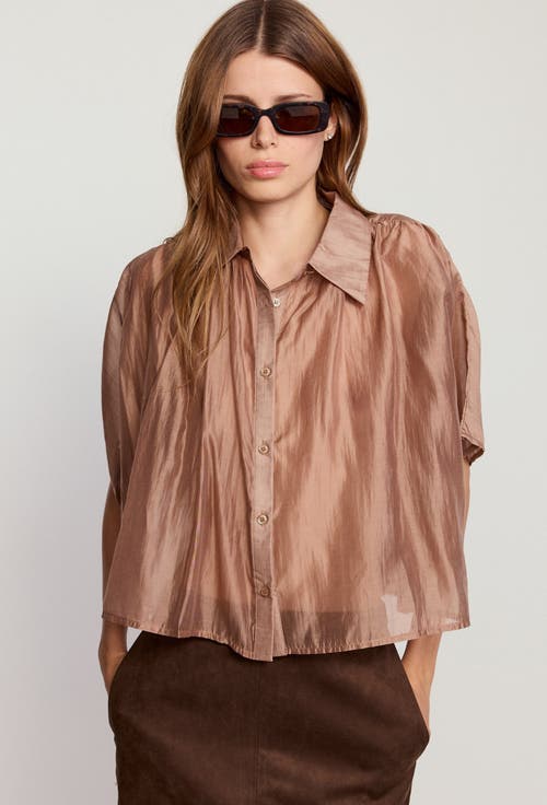 The Shirt By Rochelle Behrens The Hayden Shirt In Brown