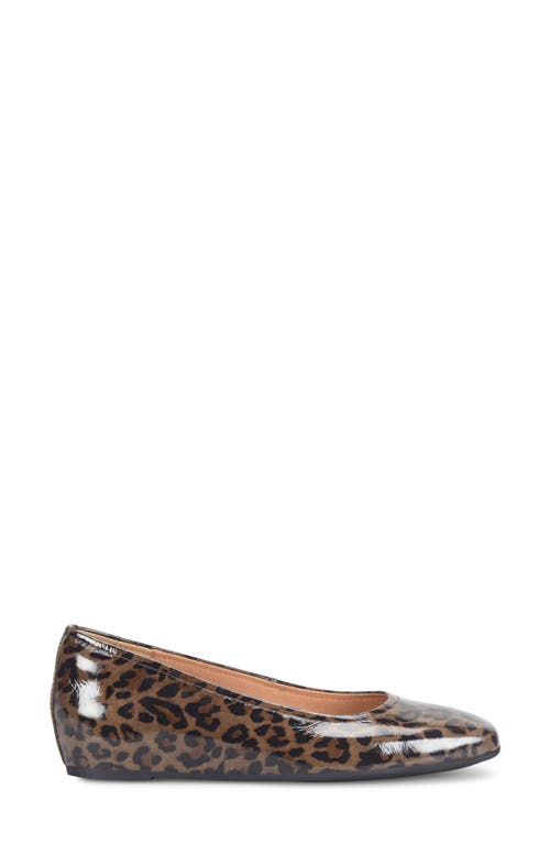 Söfft Poppy Square Toe Flat In Brown