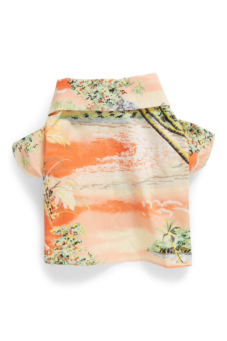 Apres BBQ Dog Shirt, Alternate, color, ORANGE / IVORY / GREEN