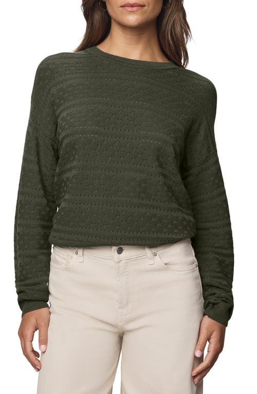 Splendid Georgie Oversize Pointelle Sweater In Green