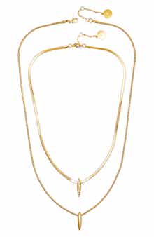 Set of 2 Layered Necklaces