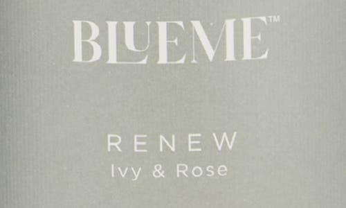 Blueme Renew Large Reed Diffuser Refill In Gray
