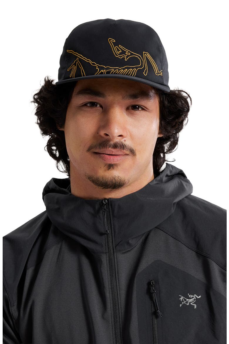 Silex Embroidered Snapback Baseball Cap, Alternate, color, 24K BLACK