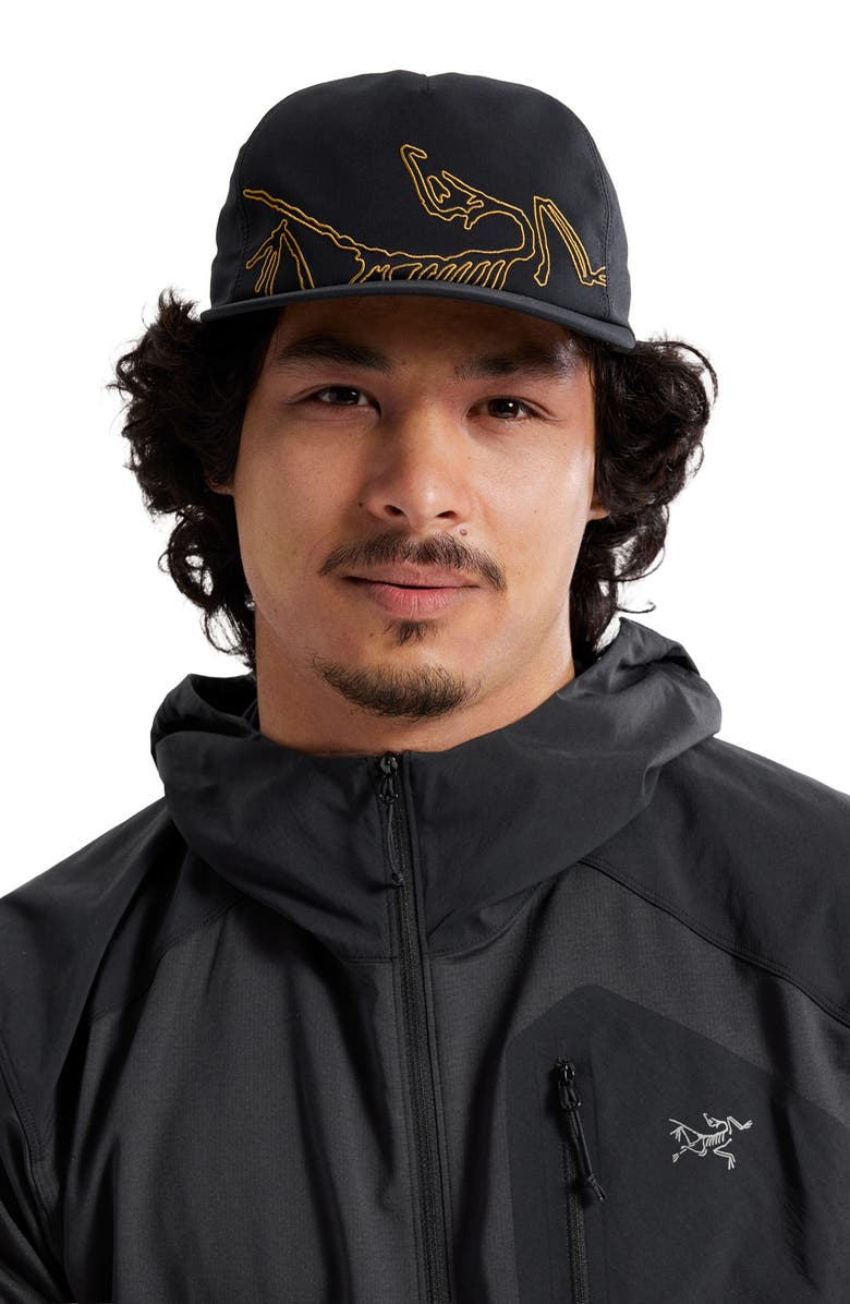 Arc'teryx Silex Embroidered Snapback Baseball Cap, Alternate, color, 24K Black