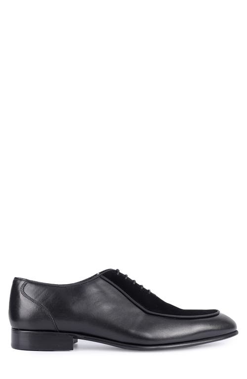 Vellapais Ovalo Oxford In Black