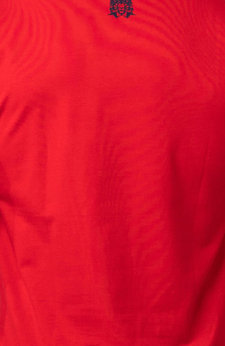 Maceoo Vivaldi Cotton V-Neck T-Shirt, Alternate, color, 