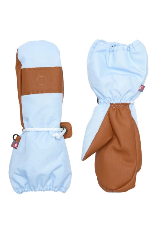 Northern Classics Waterproof Ski Mitten In Blue