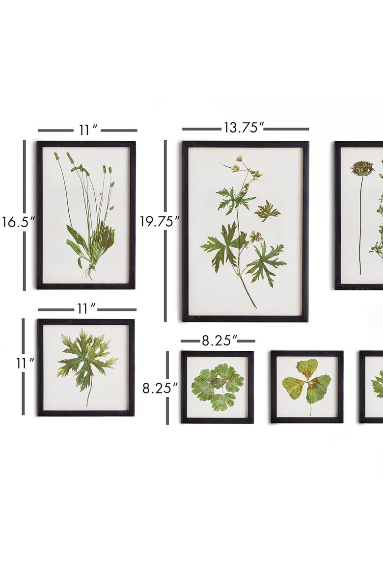Foliage Prints, Set Of 9, Alternate, color, Green