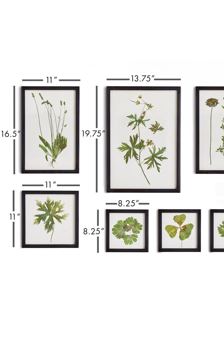 Napa Home & Garden Foliage Prints, Set Of 9, Alternate, color, Green