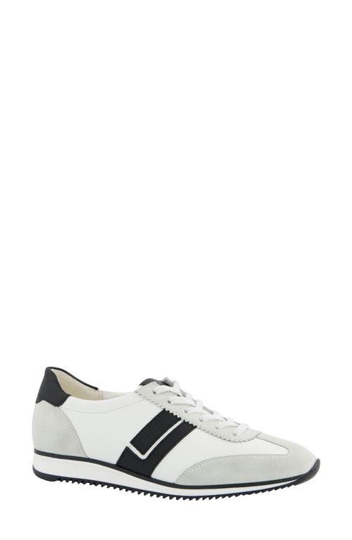 Paul Green Bellevue Sneaker In Milk White Black Combo