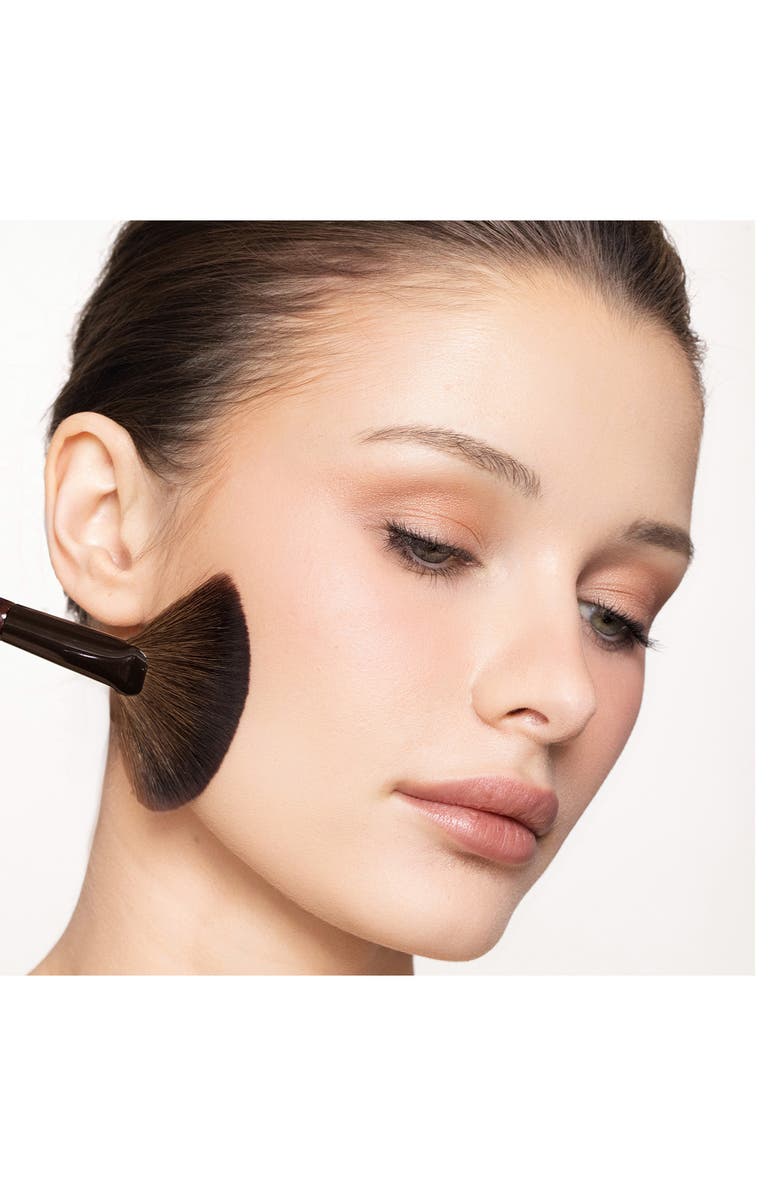 Trish McEvoy #62 Fan Brush, Alternate, color, 