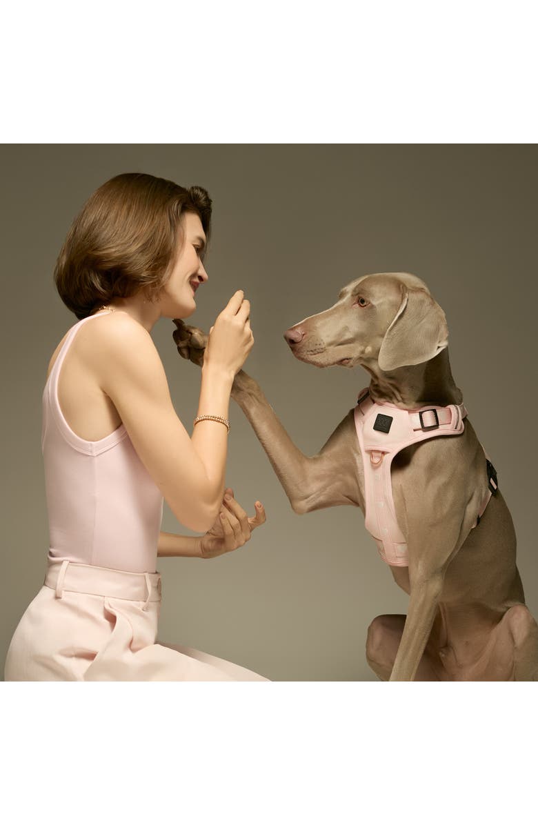 Dogistry The NoMad Adjustable Luxe Harness, Alternate, color, Sweetheart