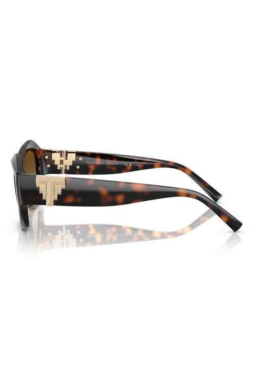Tiffany & Co . 54mm Gradient Pillow Sunglasses