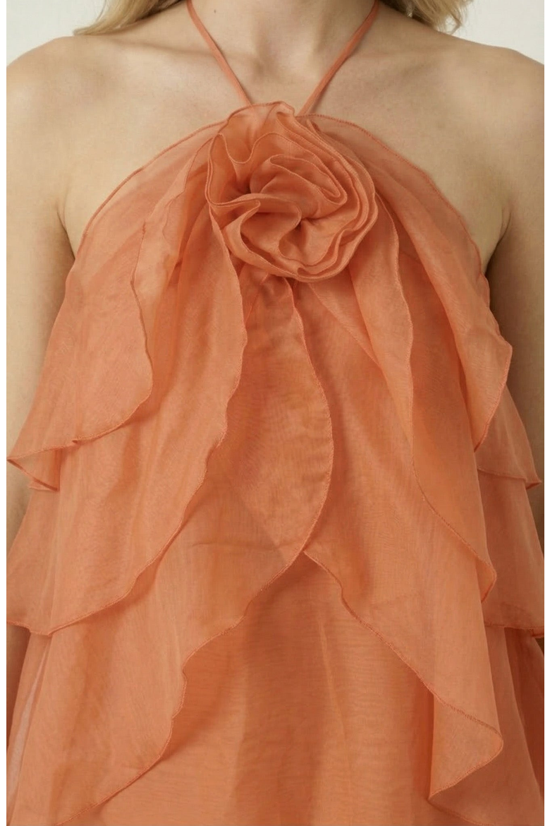 Halter Ruffle Chiffon Top, Alternate, color, Terracotta