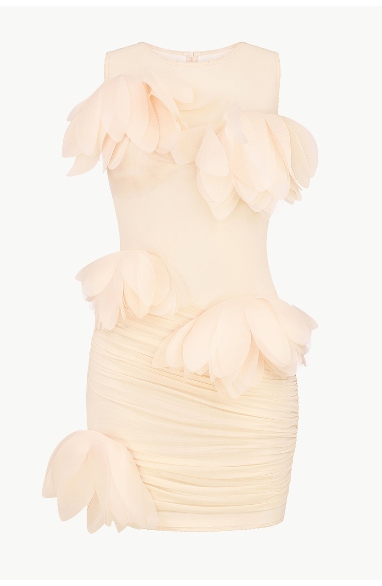 Malva Florea Draped Mini Dress With Oversized Florals, Main, color, Light Apricot