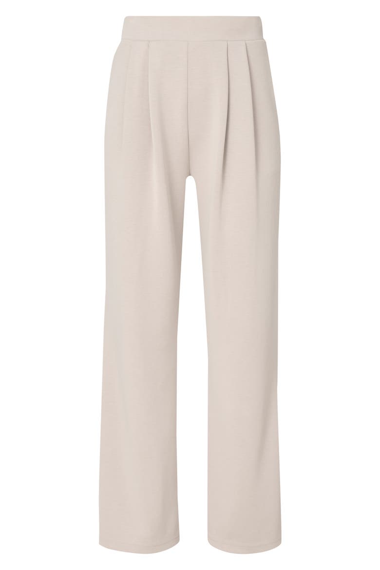Sand Wash Wide Leg Pants, Alternate, color, DUSK BEIGE