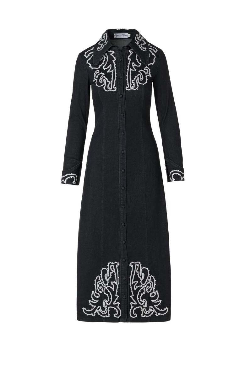 Wren Dress, Alternate, color, Black Denim