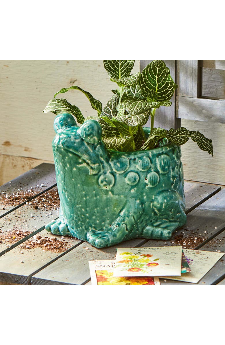 tag Teal Blue Frog Planter Terracotta Garden Pot for Decor, Alternate, color, Blue