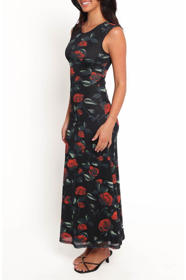 Drea Print Sleeveless Maxi Dress, Alternate, color, ROSE PRINT