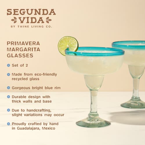 Twine Segunda Vida Primavera Recycled Margarita Glasses Set Of 2 In Clear