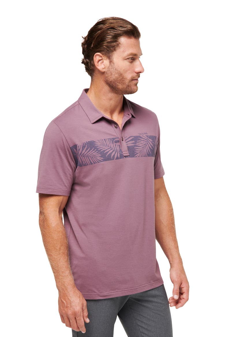 The Heather Localism Leaf Stripe Golf Polo, Alternate, color, FLINT