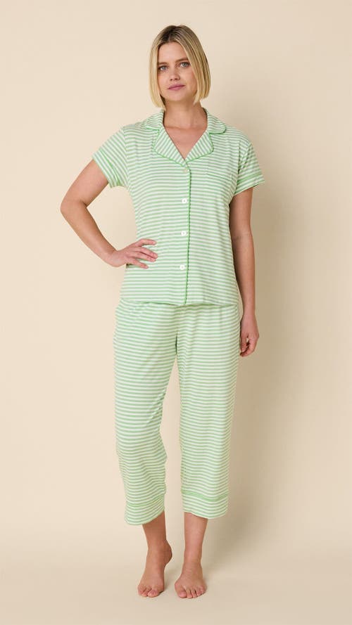 The Cat's Pajamas Pima Knit Capri Pajama Set