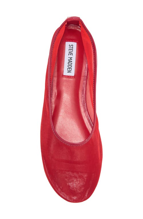 STEVE MADDEN STEVE MADDEN MEADOW FLAT