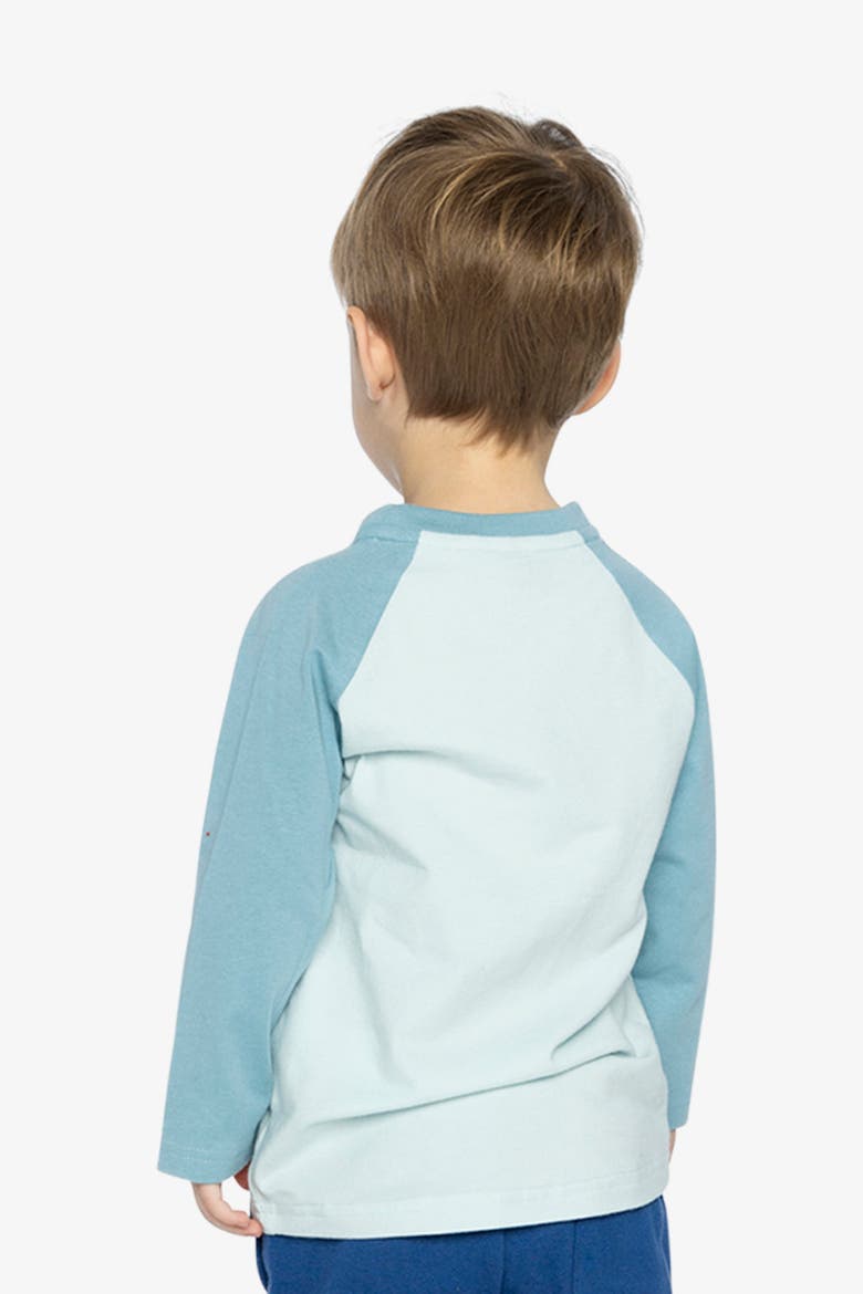 Organic Cotton Raglan Sleeve Walrus Graphic Long Sleeve T-Shirt, Alternate, color, Very Pale Turquoise