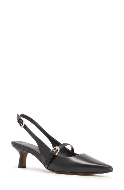 FRANKIE4 Coco Slingback Pointed Toe Kitten Heel Pump in Black 