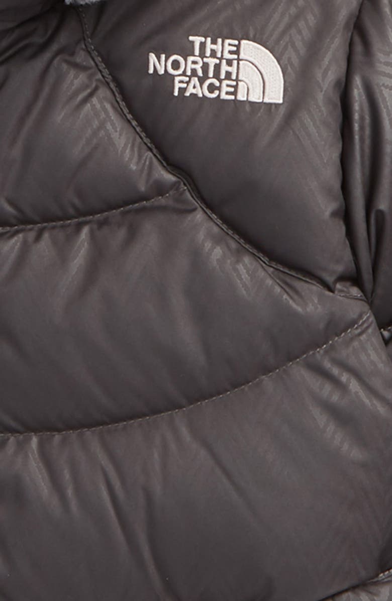 The North Face Polar Water Repellent Down Parka, Alternate, color, 