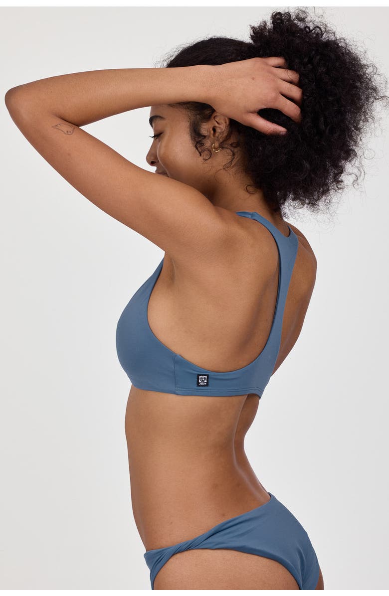 JOLYN Beverly Bikini Top, Alternate, color, Dolphins