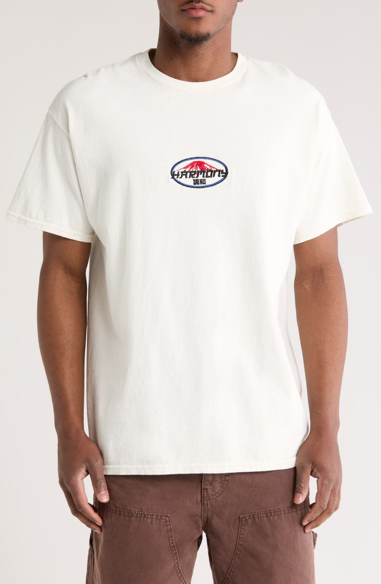 BDG Urban Outfitters Harmony Embroidered Cotton T-Shirt, Main, color,