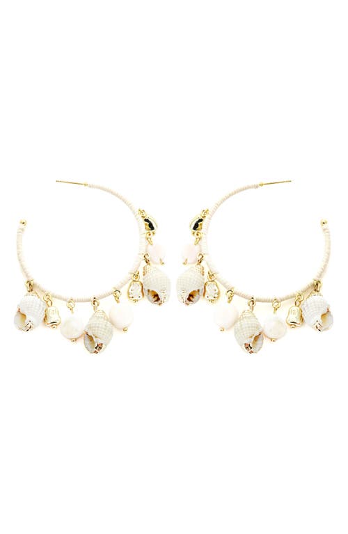 Panacea Shell Hoop Earrings In Ivory