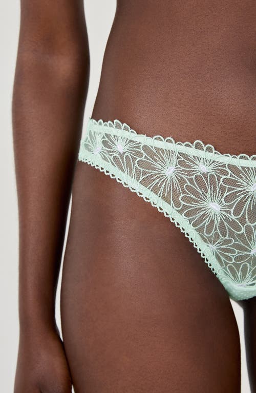 Etam Daisy Embroidered Thong In Green