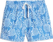 Chubbies Thigh Napples 6-Inch Swim Trunks