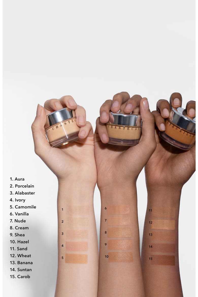 Future Skin Gel Foundation, Alternate, color, ALABASTER