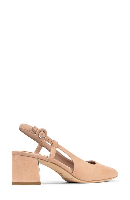 DONALD PLINER DONALD PLINER SONG SLINGBACK POINTED TOE PUMP