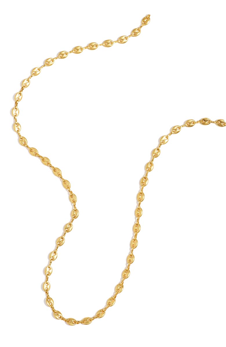Madewell Sporting Chain Necklace, Alternate, color, 