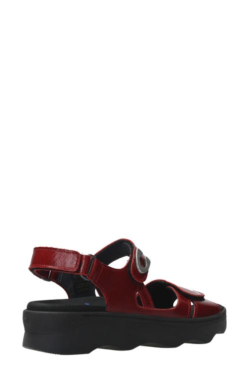 Wolky Medusa Sandal In Oxblood
